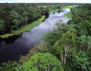 amazonas2