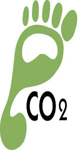 Bonos de Carbono: El nuevo incentivo para cuidar al planeta