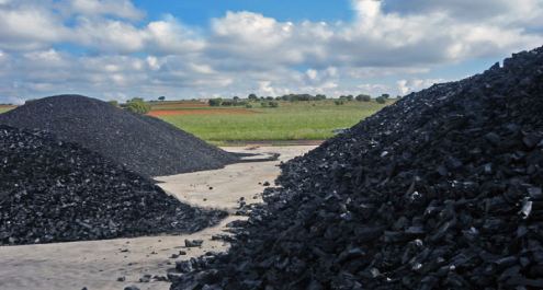 El carbón vegetal: la solución al calentamiento global