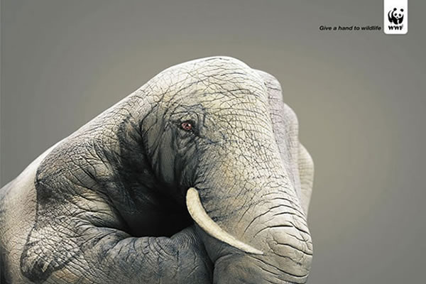 Fundación WWF impacta con sorprendente publicidad