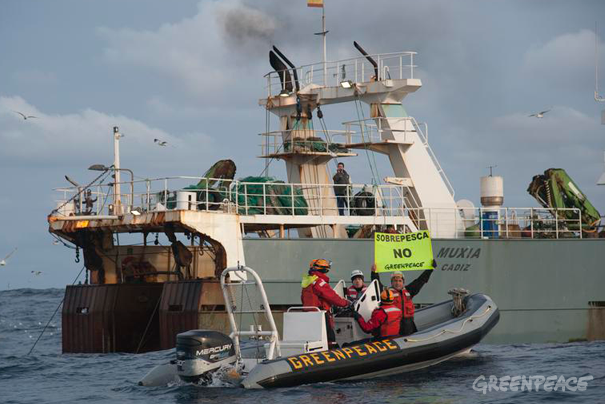 Activistas de Greenpeace detienen actividad de barco arrastrero de profundidad