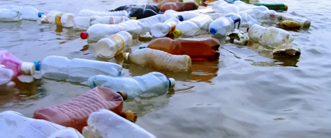 Industria del plástico pone atención en residuos desechados al mar