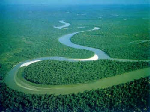 Brasil: Nueva ley forestal causará grandes daños al Amazonas