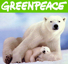 Greenpeace pretende fortalecer su labor en América Latina