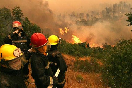 32 mil hectáreas afectadas por incendios en la región del Bio-bío hasta el momento