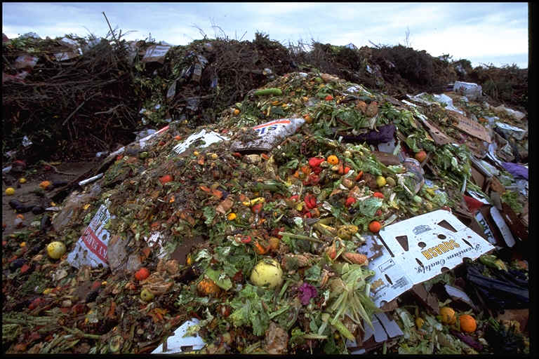 Un informe de la FAO indica que 1.300 millones de toneladas de comida son desechadas a la basura
