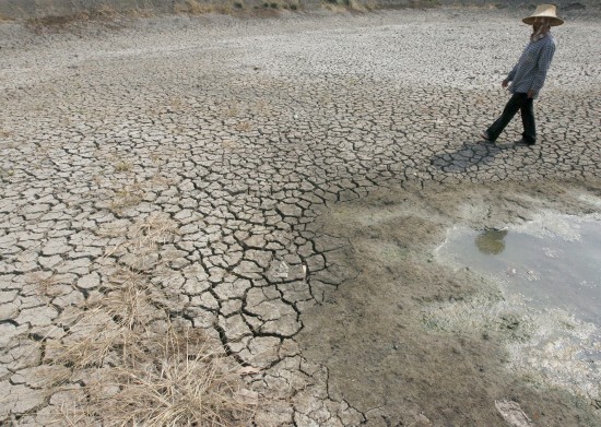 Chile: Decretan emergencia agrícola en zona norte