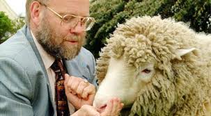 A 15 años de la clonación de la oveja Dolly