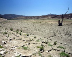 Chile: Gobierno indica que sequía no afectará consumo residencial