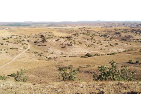 Descubren asentamientos prehistóricos en Siria