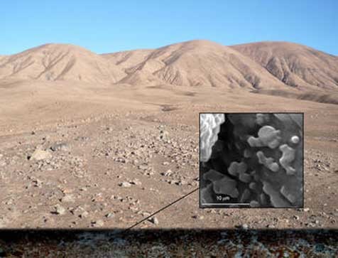 La ciencia presta atención a Marte luego de hallarse un micro-oasis en desierto de Atacama