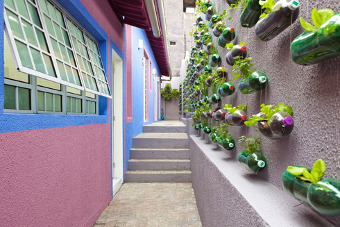 Jardín vertical hecho con botellas de plástico