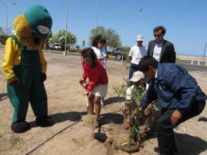 Chile: Lanzan programa de arborización 2012