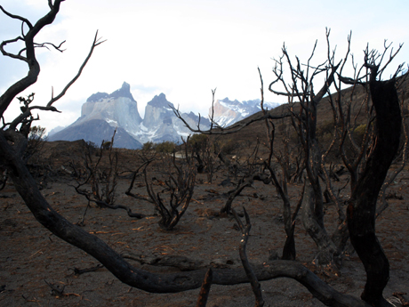 Chile: Plan para restaurar Parque Torres del Paine