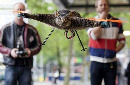 Inventor holandés crea un helicóptero con su gato muerto [Video]