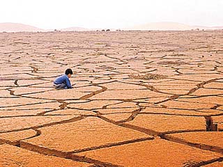 Día mundial contra la sequía y la lucha contra la desertificación