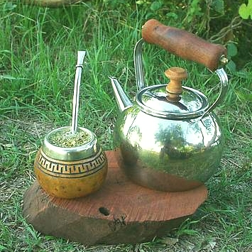 Beneficios de la yerba mate