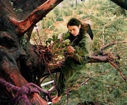 Vivió dos años arriba de un árbol para evitar que lo cortaran (VIDEO)