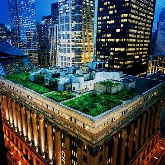 La maravilla de los techos verdes de Chicago
