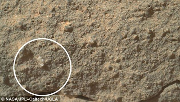 Supuesta flor en Marte captada por la NASA causa curiosidad