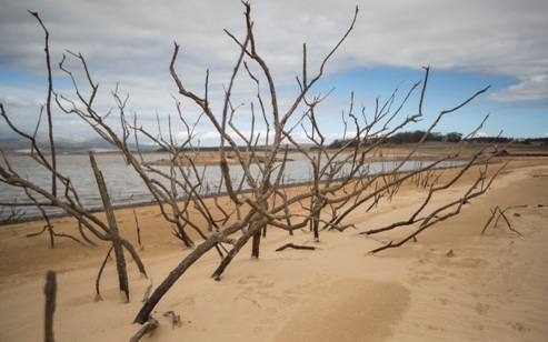 Día Mundial de Lucha contra la Desertificación y la Sequía