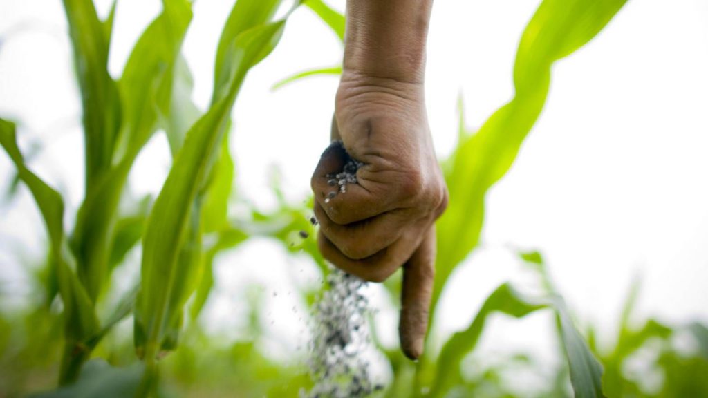 Sobredosis de nitrógeno: contaminando nuestros ecosistemas y alimentando el cambio climático*