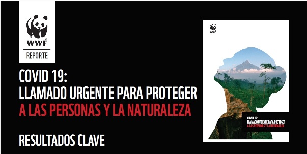 Vínculo Covid y medio ambiente y necesidad de incorporar aspectos ambientales en acuerdo nacional alcanzado en chile.